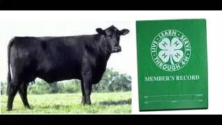 Beef Cattle Record Keeping Tutorial