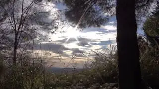 AUGURI 2014