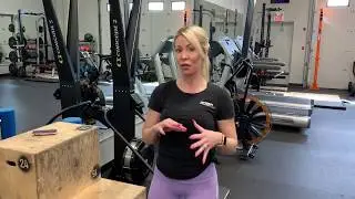 Workout - Booty Focus