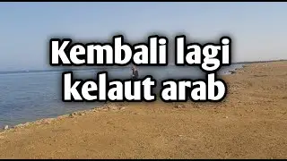 RETURN TO FISHING IN THE ARABIAN SEA