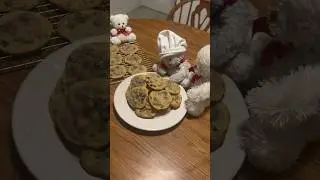 My teddy bear chef making chocolate chip cookies 🍪