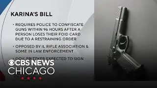 Illinois lawmakers pass Karina's Bill, focused on protecting domestic violence survivors
