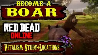 Red Dead Online how to become a Boar - New Vitalism Study in RDR2 Online