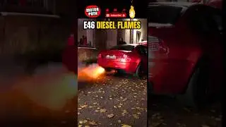 330D M57 INSANE DIESEL POPS & FLAMES🔥 #m57 #330d #e46330d #e46diesel  #exhaustflames #shorts