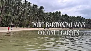 Coconut garden/Palawan beach resort/ port Barton/tour2024