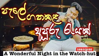 හිත නිවෙන පැලේ රැයක් සිරිපාල මාමා එක්ක | Overnight in a Traditional Farm Hut - Village Life