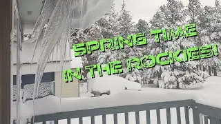 Spring Snowstorm 2021 Colorado (Time Lapse)