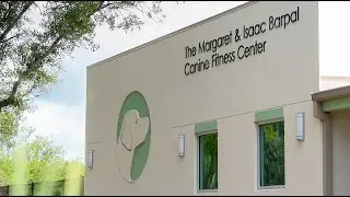 Virtual Grand Opening: The Margaret & Isaac Barpal Canine Fitness Center