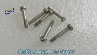 Pure Molybdenum screw bolts and nuts manufacturer
