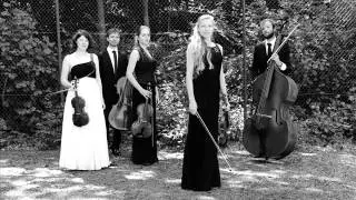 Frederick Septimus Kelly - Elegy for strings in Memoriam Rupert Brooke - St. George Quintet