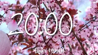 20 Minute SPRING Timer with Relaxing MUSIC, Cherry Blossom, Sakura  for Study, Class, Silent Alarm 🌺