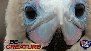 Be The Creature | Pioneers Of The Galapagos | Akili Kids!