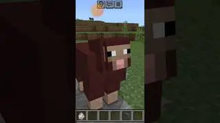 Minecraft sheep special name #minecraft #name