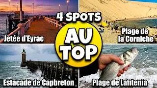 4 spots o&ugrave; p&ecirc;cher dans le Sud Ouest