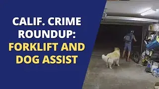 California Crime Roundup - August 11, 2023
