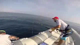 Tonno  a Drifting