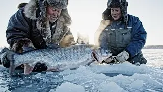 Surviving –60°C | We Caught a Monster Fish Beneath 2 Meters of Ice.