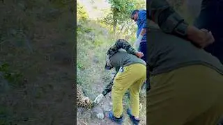 Save Wildlife😭||#shorts #wildliferescue #wildanimals #savewildlife #leopardrescue