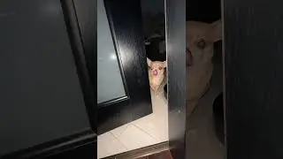 ❗️Рішення нестачі кадрів &mdash; за посиланням у профілі.