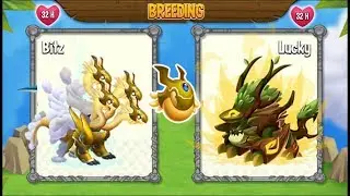 NEW BREEDING: High Celestial Dragon & High Entity Dragon [EXCLUSIVE BREEDING]