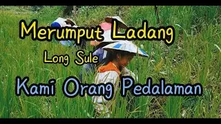 Cara berladang Orang pedalaman