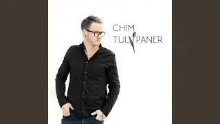 Tulipaner