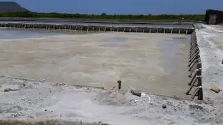 C&oacute;mo se hace Sal