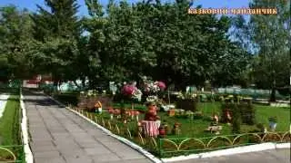ДНЗ 