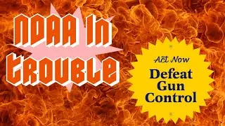 Gun Control InsideThe NDAA And A Chance To Stop It!