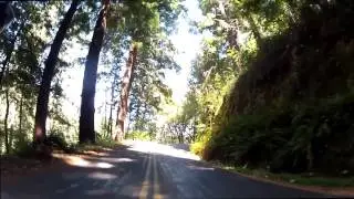 The 