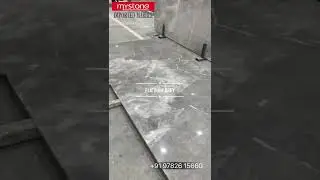 Platinum Grey Marble | MyStone Imported Marble
