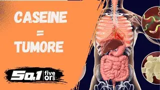 Le caseine fanno davvero male o &egrave; solo un mito?