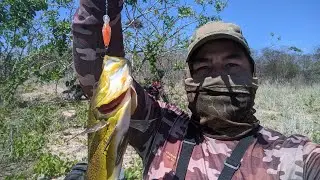 Pescaria ultra light com isca Mini Crank...