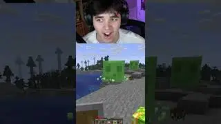 Most USELESS Minecraft Mod?