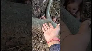 কি সুন্দর মিষ্টি বাচ্চা গুলো #viralvideo #magic #animals #funny