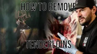 How to Remove a Deer Tenderloin