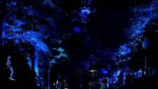 Starlight spectacular