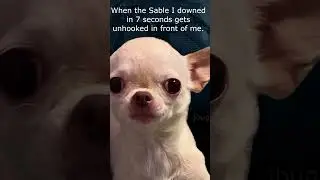 It Be Like that..