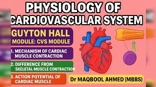 CARDIOVASCULAR PHYSIOLOGY|Mechanism of Cradiac Muscle contraction | CVS MODULE| Dr MAQBOOL AHMED 