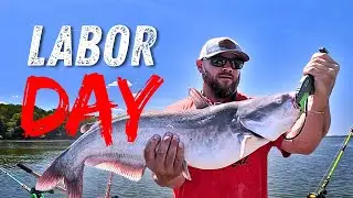 You Won't Believe This Boat Almost Ruined My Fishing! | Labor Day Fishing 2025