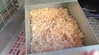 Setting up a nest box