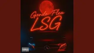 LSG