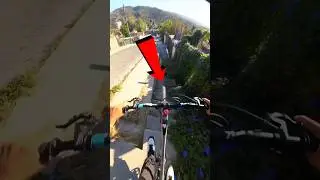 Le Frein Impossible ! 🚴💨 #Catsoftiktok #CatLovers #cat #cute #FunnyCats #catcartoon #fyp