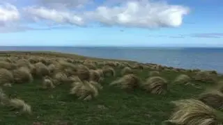 Slope Point, New Zealand -- October 2016 (4K)