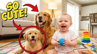 The Loyal Protector: Dog with Baby 🍋 𝐅𝐮𝐧𝐧𝐢𝐞𝐬𝐭 𝐃𝐨𝐠𝐬 𝐚𝐧𝐝 𝐂𝐚𝐭𝐬 𝟐𝟎𝟐𝟓😸