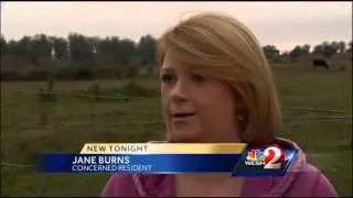 Orange County neighborhood raises concern over starving horse