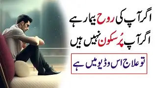 Pursakoon Life | Easy and Happy Life | Golden words In Urdu | Most beautiful and Impressive Talk