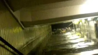 DSCN3495