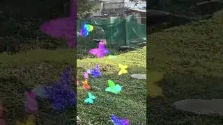 मोर मोरनी की नाराजी#####anmil lovers