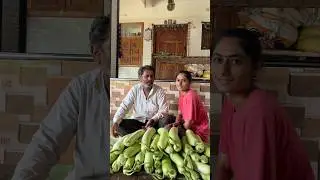 Gujarati Village Life 🌾 #farming #gujrati #villagelife #shorts #vlog #ytshorts